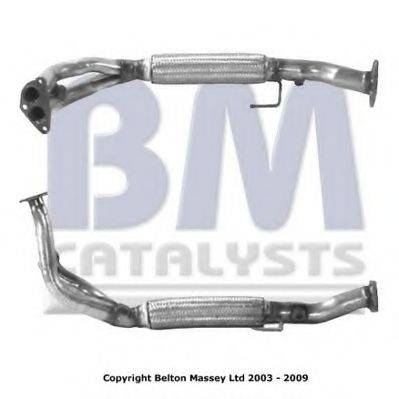 BM CATALYSTS BM70096