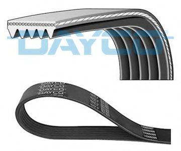 DAYCO 5PK800