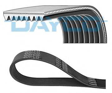 DAYCO 8PK2020HD
