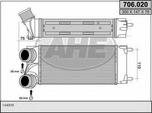 AHE 706.020