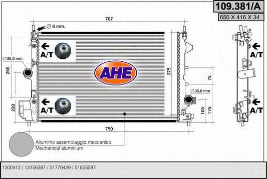 AHE 109.381/A