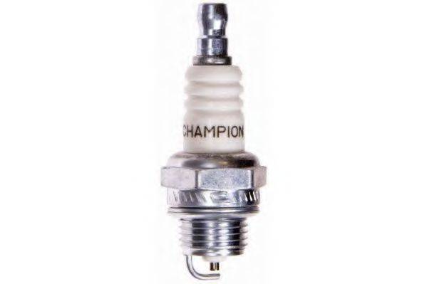 CHAMPION CJ7Y/W24