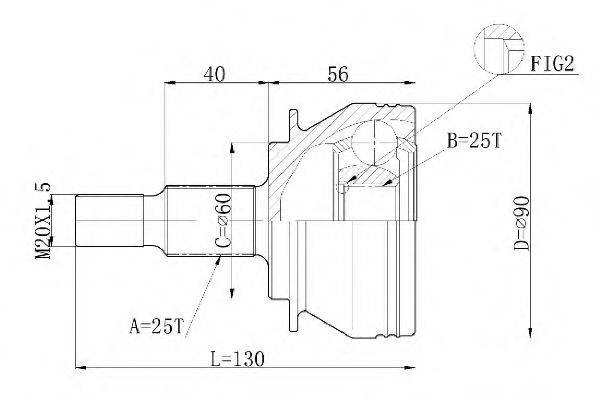 STATIM C.213