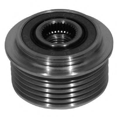 FISPA 455028