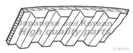 ASHUKI 0336-0202