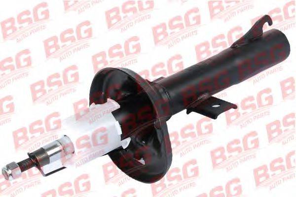BSG BSG 30-300-018
