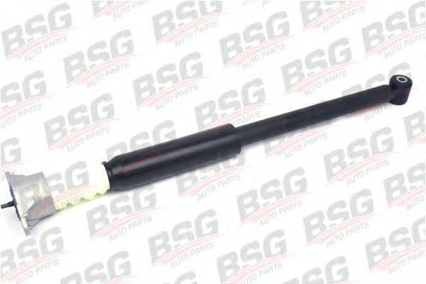 BSG BSG 30-300-029
