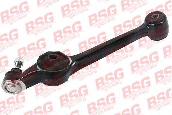 BSG BSG 30-310-069