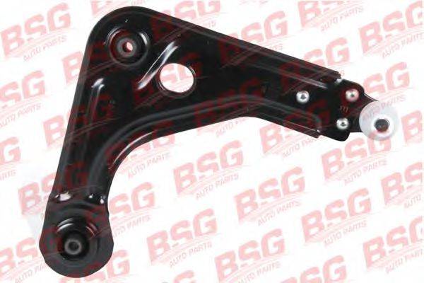 BSG BSG 30-315-013