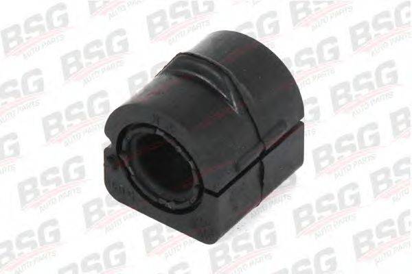 BSG BSG 30-700-101