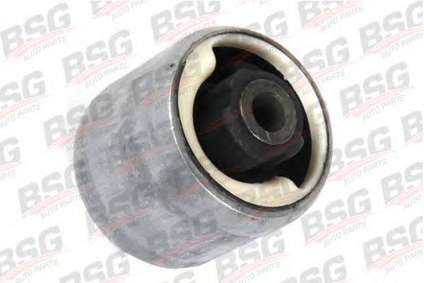 BSG BSG 30-700-305