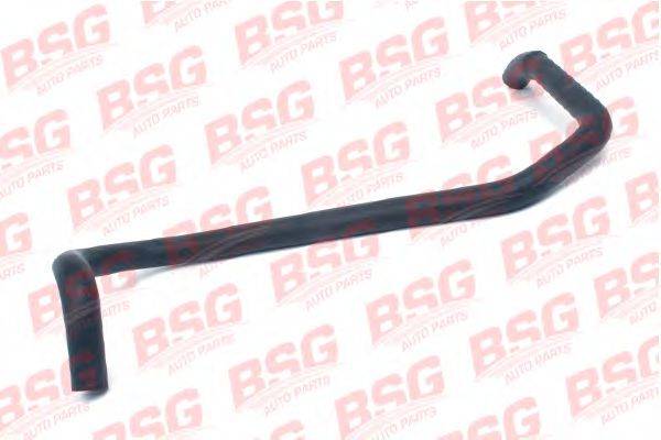 BSG BSG 30-720-061