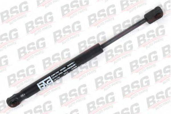 BSG BSG 30-980-005