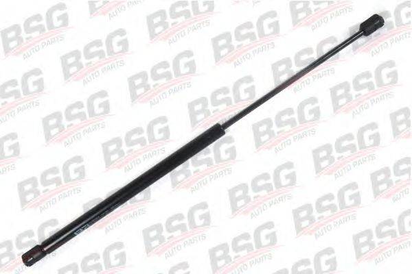 BSG BSG 30-980-012