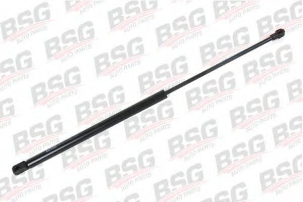 BSG BSG 30-980-015