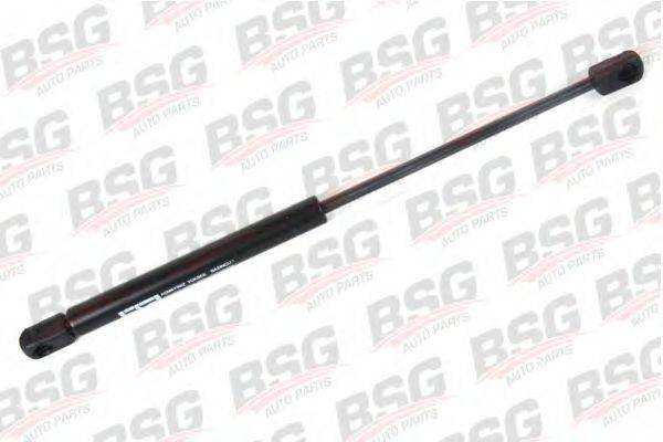 BSG BSG 30-980-017