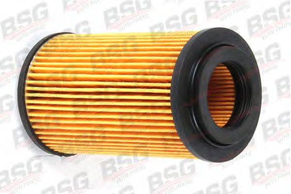 BSG 60-130-002 Паливний фільтр