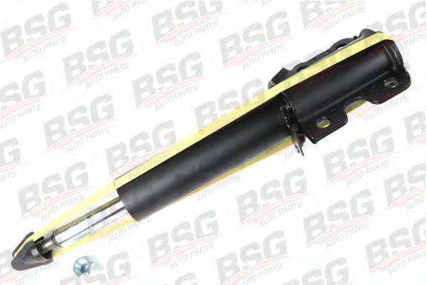 BSG BSG 60-300-001