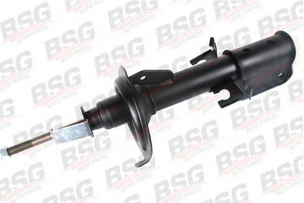 BSG BSG 60-300-016