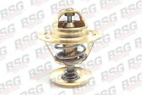 BSG BSG 30-125-003