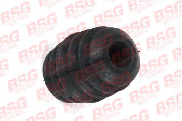 BSG BSG 30-700-169