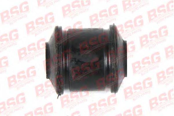 BSG BSG 30-700-304