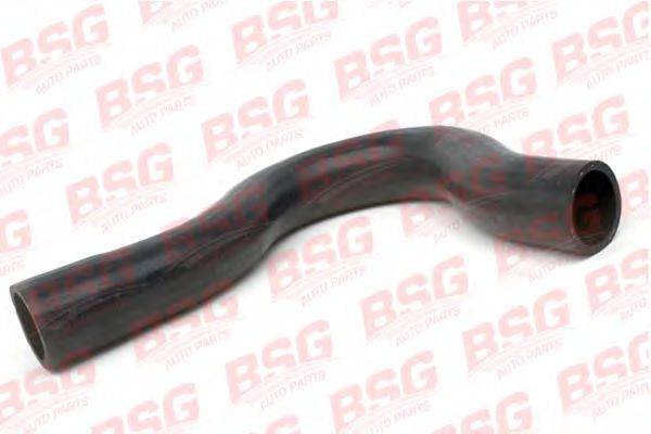 BSG BSG 30-720-005