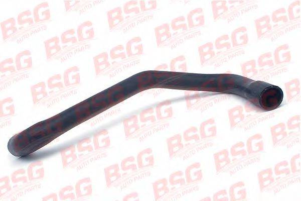 BSG 30-720-047 Шланг радіатора