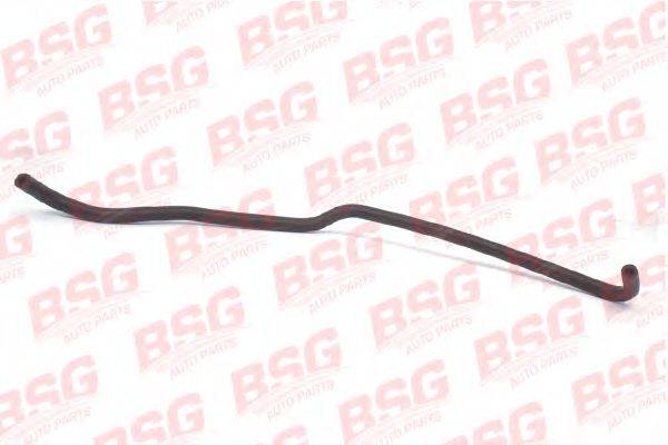BSG 30-720-049 Шланг