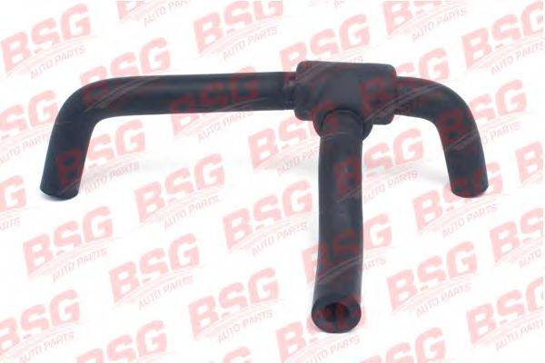 BSG BSG 30-720-069