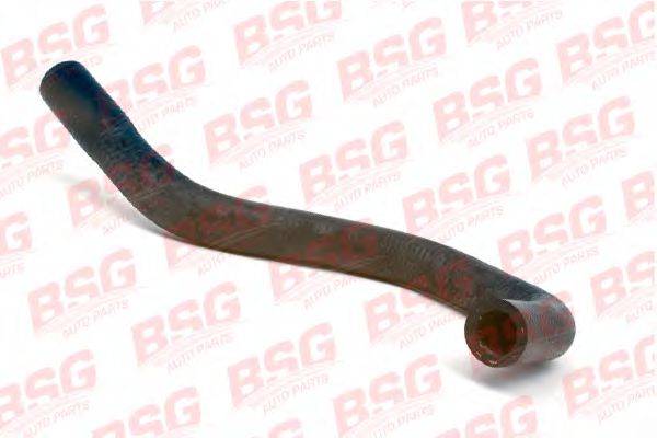 BSG BSG 30-720-085