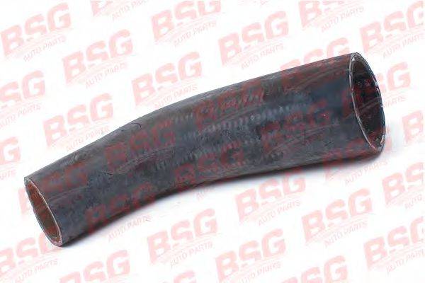 BSG BSG 30-720-100