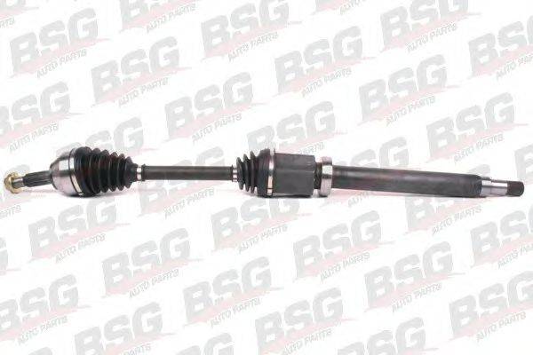 BSG BSG 30-350-001