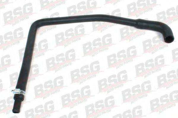 BSG BSG 30-720-060
