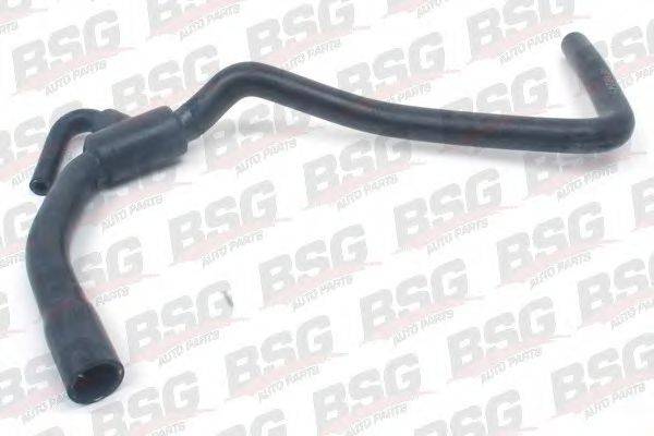 BSG BSG 65-720-004