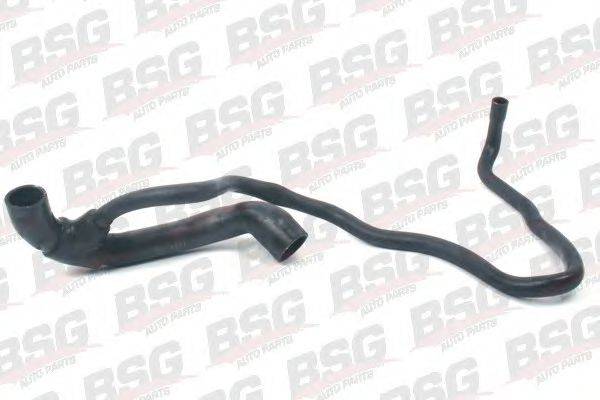 BSG BSG 65-720-019