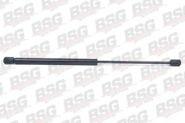 BSG BSG 65-980-002
