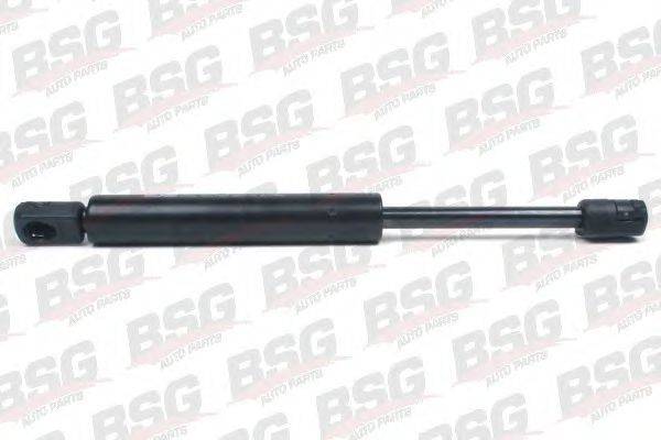 BSG BSG 65-980-005