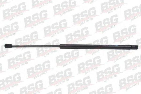 BSG BSG 65-980-010