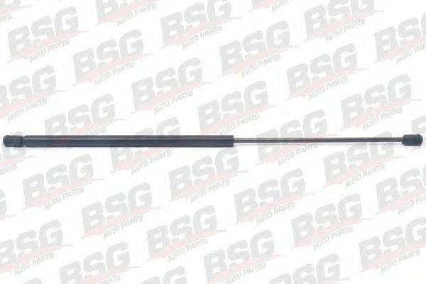 BSG BSG 70-980-009