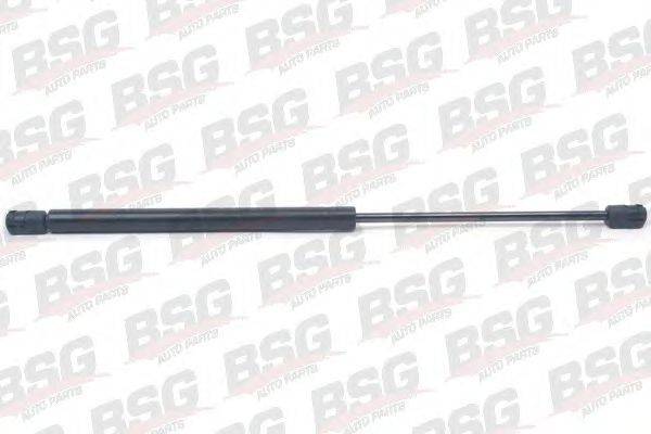 BSG BSG 70-980-016