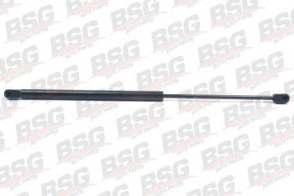 BSG BSG 90-980-011