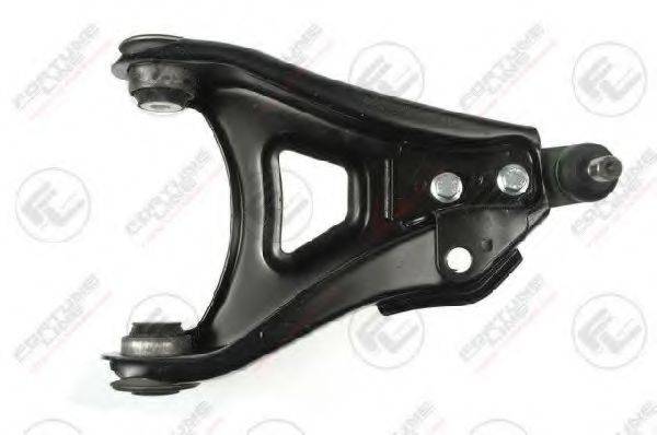 FORTUNE LINE FZ6605