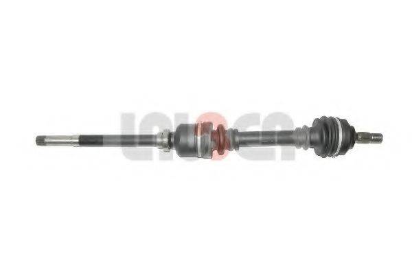 LAUBER 88.0166
