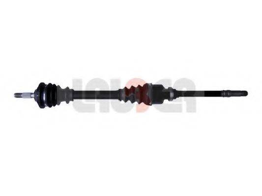 LAUBER 88.0298