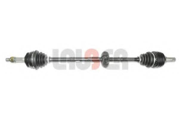 LAUBER 88.0376