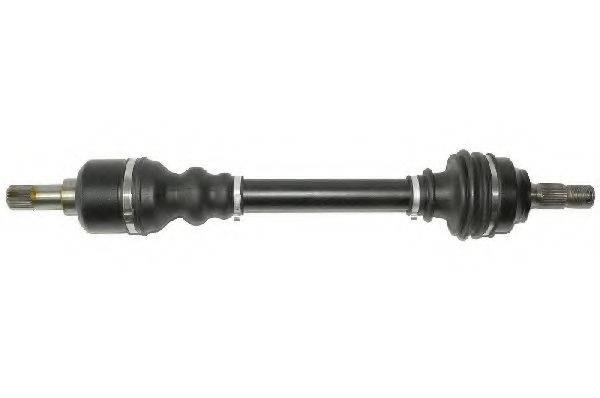 LAUBER 88.2054