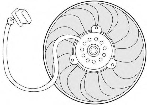 CTR 1209651