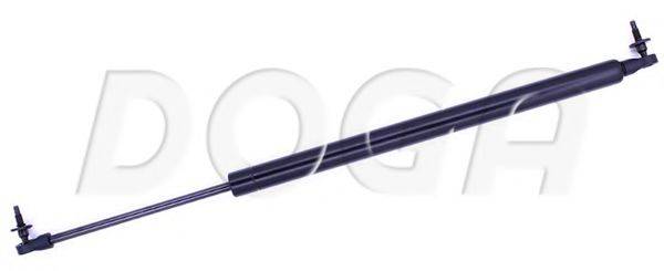 DOGA 2005053