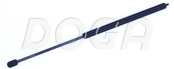 DOGA 2020323